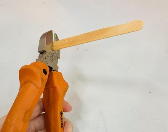 Primeiro Passo (AD 1.9 BM Clara e Olívia).jpg